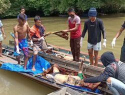 Ini Kronologi dan Identitas Penemuan Mayat Mengapung di Sungai Tuhup