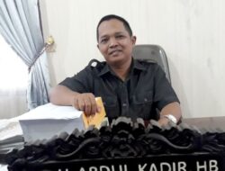 Dewan Dorong Pemerintah Perhatikan Usaha Di Sektor Perkebunan Kelapa Sawit