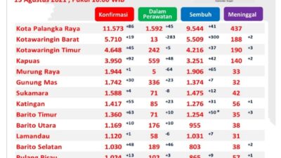 64 Pasien Covid-19 di Murung Raya Sembuh