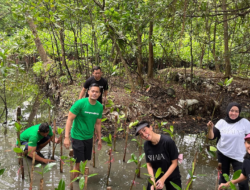 Lagi, Komunitas Mangrove Jakarta.id – SHAIA Beauty Tanam Puluhan Pohon Mangrove