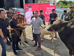 Hari Raya Iduladha, Heriyus M Yoseph Serahkan Satu Ekor Sapi kurban