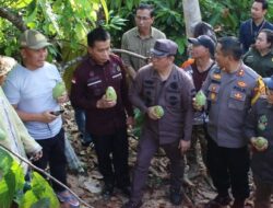 Gubernur Kalteng Bersama Pj Bupati dan Unsur Forkopimda Kunjungi Petani Kakao di Mura