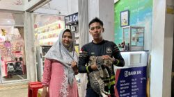 Lagi, Regu C Damkar Mura Berhasil Evakuasi Kucing dari atas Plafon Rumah